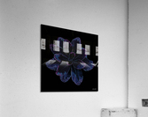 Blue Leaf 2 SharpenAI Motion Acrylic Print