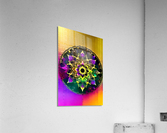 IMG 0356 Acrylic Print