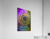 IMG 0350 Acrylic Print