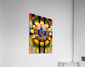 IMG 0384 Acrylic Print