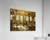 The Joy of Autumn in the Scottish Highlands Acrylic Print