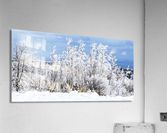 Meeting in Midland Acrylic Print