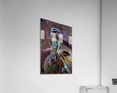 IMG 0443 Acrylic Print