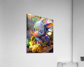 IMG 6697 Acrylic Print