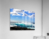 Backlit Yokohaman Beauty Acrylic Print