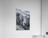 Landscape Acrylic Print