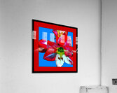 AMARYLLIS 002 Acrylic Print