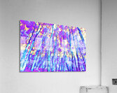  Vibrant Birch Tree Glory in the Scottish Highlands Acrylic Print