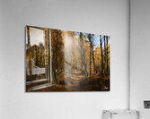 Autumns Ramble in the Scottish Highlands Acrylic Print