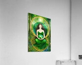 IMG 5446 Acrylic Print