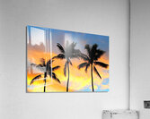 3 COLORED PALMS Acrylic Print