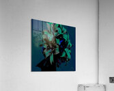 Dark Poster Lilies  Acrylic Print