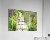 WOW What a Welcome Acrylic Print