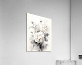Bouquet: Rose in Perpetuity Acrylic Print