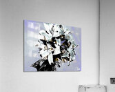 Greys and Blacks Poster Lilies Pop Art Acrylic Print