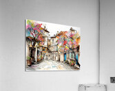 Cul de Sac in Village Acrylic Print