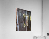 Fara2019 Acrylic Print