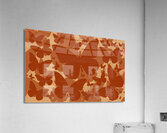 Orange Butterflies Acrylic Print