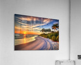 IMG 5941 Acrylic Print