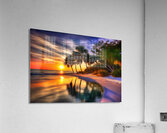 IMG 5942 Acrylic Print