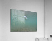 Underwater Pacifier Acrylic Print