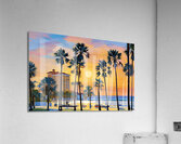 IMG 5999 Acrylic Print