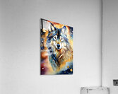 IMG 0682  Acrylic Print