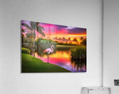 IMG 5956 Acrylic Print