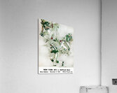 1969 New York Jets vs. Buffalo Bills Cover Art Acrylic Print