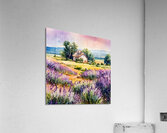 Lavender Meadow Acrylic Print