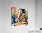 Hues of Home Acrylic Print