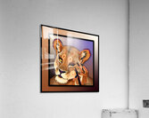 Tigeressness Acrylic Print