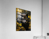 Realistic Wildlife Encounter Photography Acrylic Print