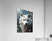 Realistic Wildlife Encounter Photography Acrylic Print