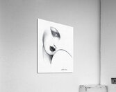 Misty  Acrylic Print