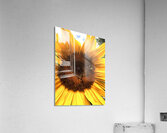 IMG 3967 Acrylic Print