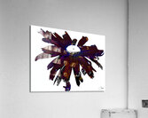 Dark Burgundy  Distressed  Daisy Flower on a White Background Acrylic Print