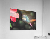 Glowing nectar Acrylic Print