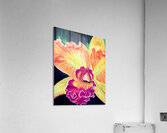 Orchid Acrylic Print
