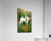 IMG 6585 Acrylic Print