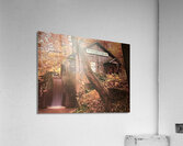 4130D654 FD95 4FF8 A95E 7B618C032E66 Acrylic Print