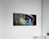 D41C8001 1BCD 432C 8E40 7274D5236301 Acrylic Print
