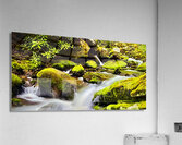 E877E1C9 1142 4946 9696 C7A43DF3C08E Acrylic Print