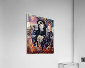Gypsy Beauty Acrylic Print