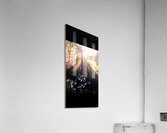 704E911E CDB3 471C 866B 9E1167217C6D Acrylic Print