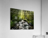 1338AB80 CB1B 4A1E 9115 CBA584CE0081 Acrylic Print