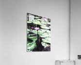 OmegaLilly  Acrylic Print