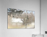 RitaWinter Acrylic Print