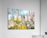John Roberts Library Cherry Trees Acrylic Print