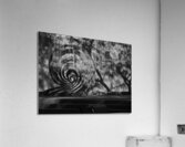 CarnBackgarden Acrylic Print